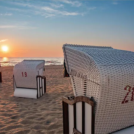 Holtz Holtz 1 치노비츠