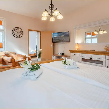 Holtz Holtz 1 * 치노비츠