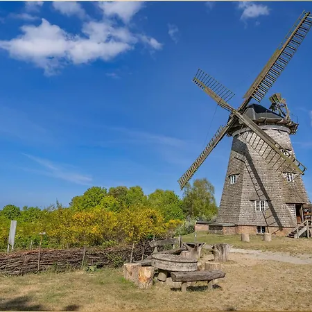 아파트 Holtz Holtz 1 *