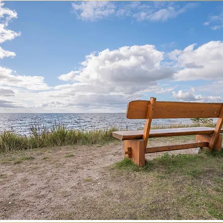 Holtz Holtz 1 치노비츠