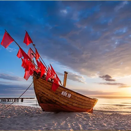 Holtz Holtz 1 * 치노비츠